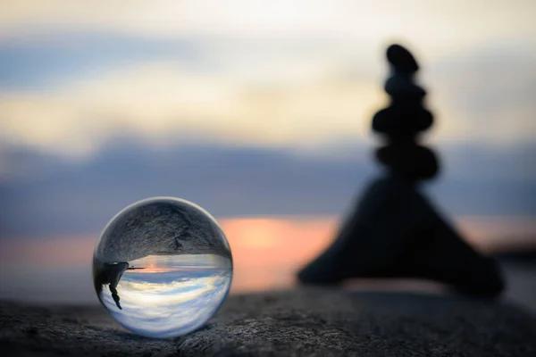 Discover the Magic of Crystal Gardens